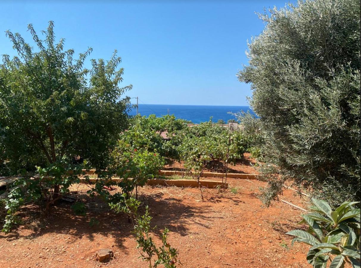 Vine Veranda Paleochora Exterior foto